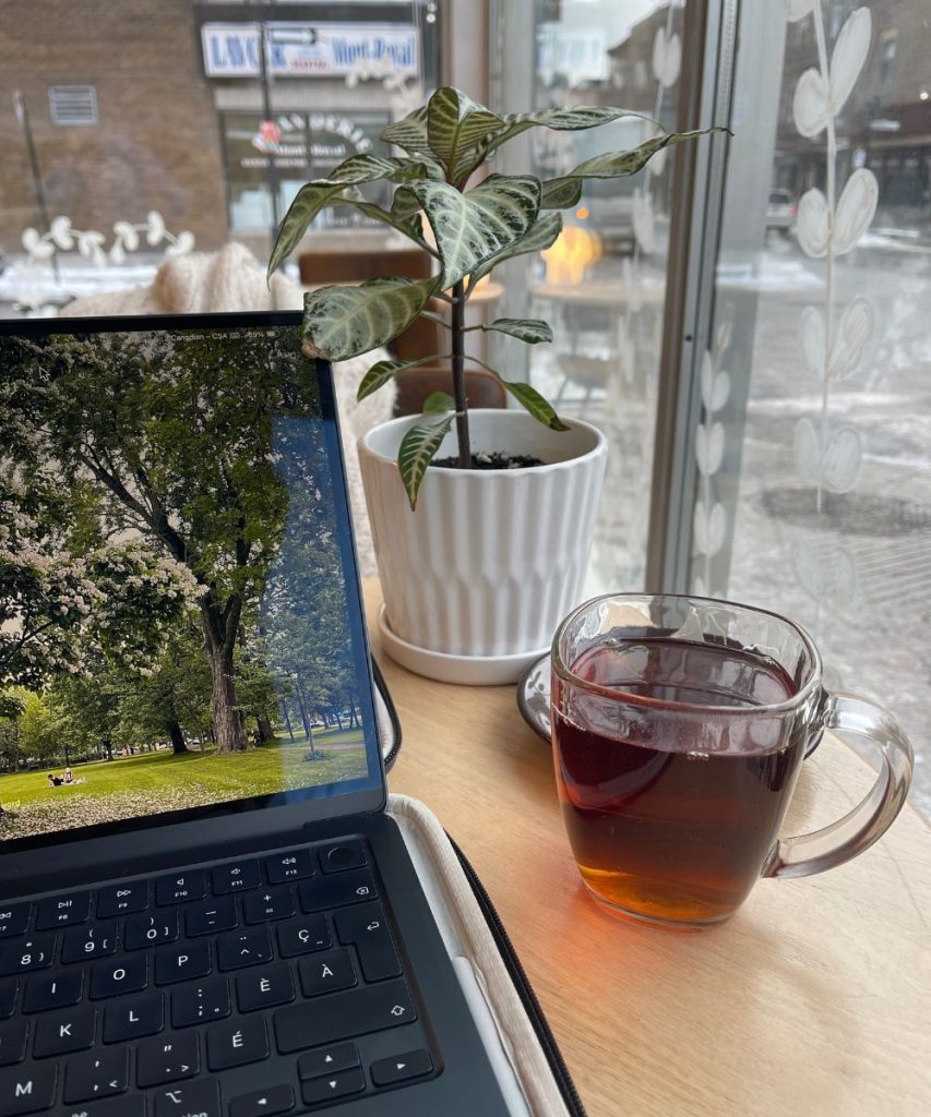 Laptop and a plant with a cup of tea