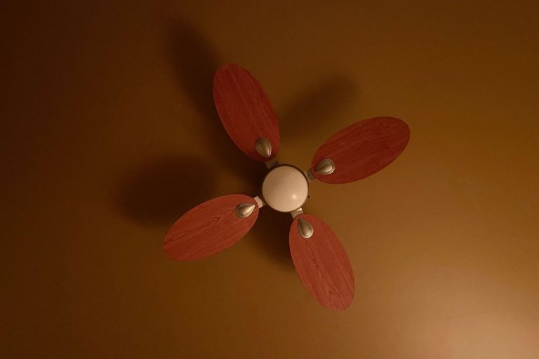 ceiling fan - stop hating life